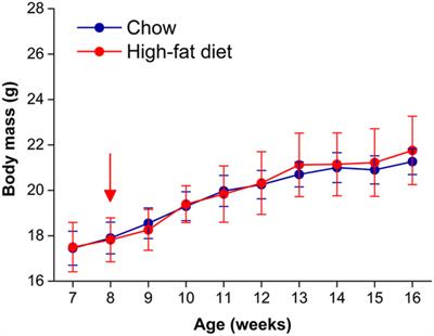 High-Fat Feeding Does Not Disrupt Daily Rhythms in Female Mice because of Protection by Ovarian Hormones